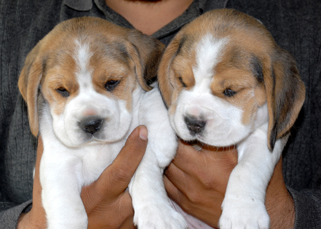 Piano Man Kids A.jpg